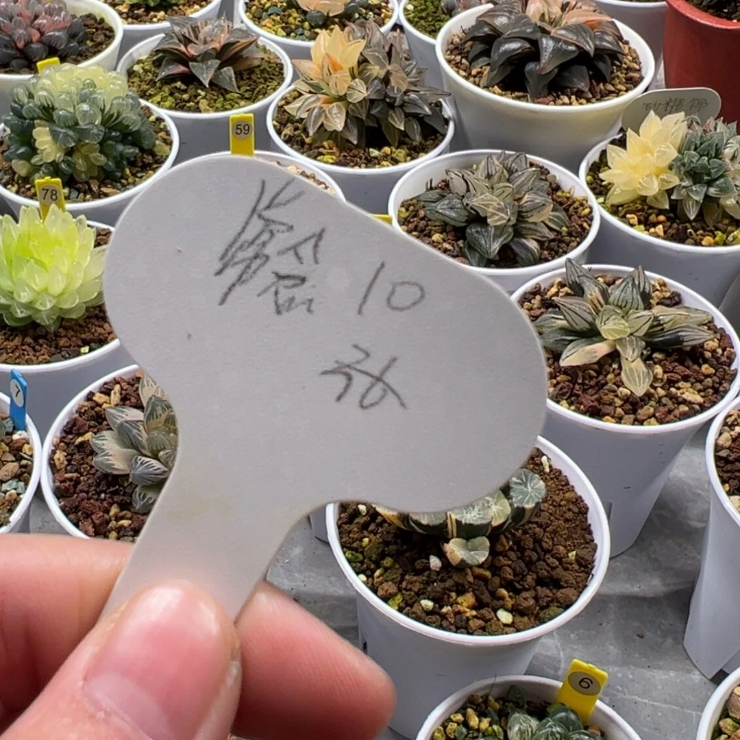 常***、常念111111111111111111