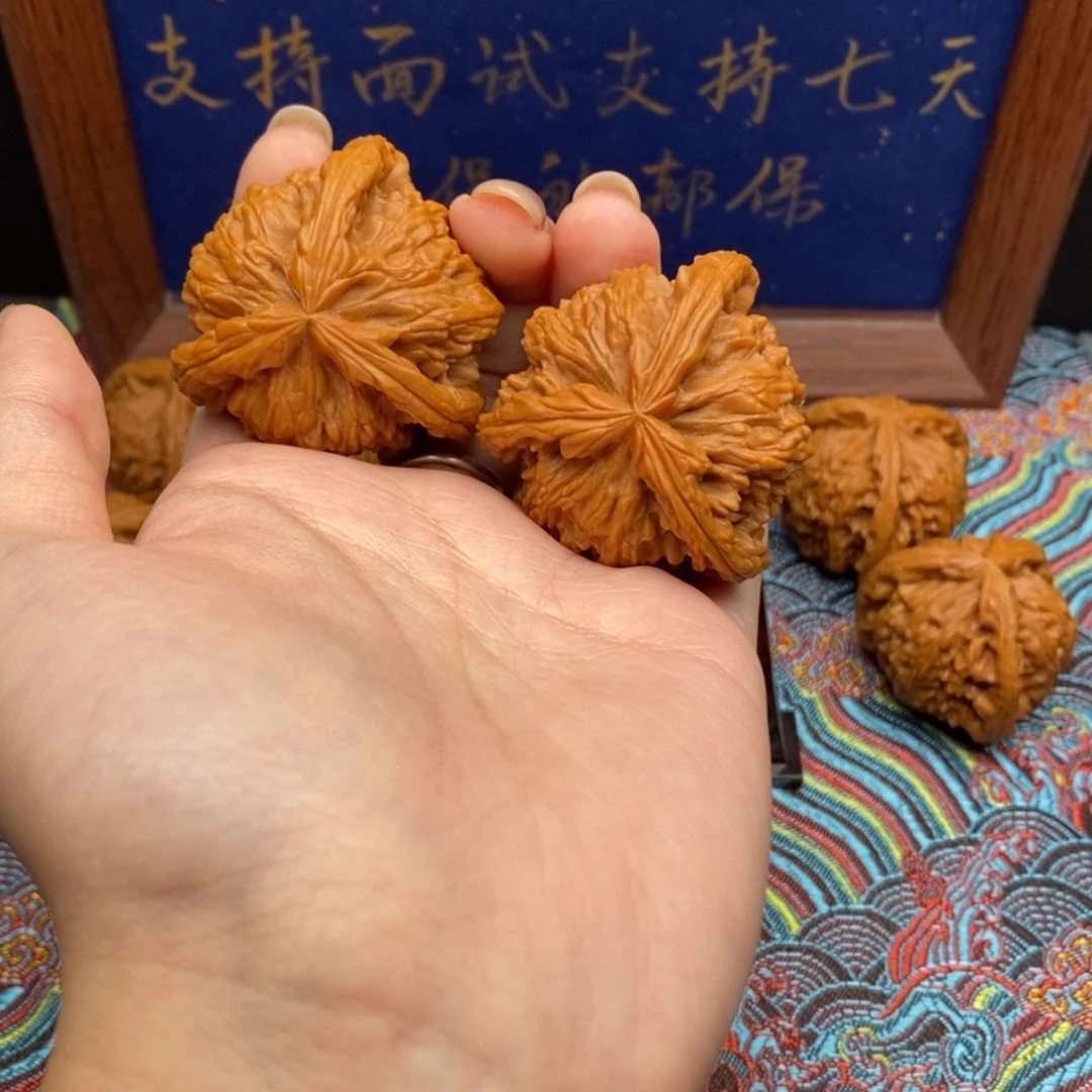 【闪购商品】V****a白狮