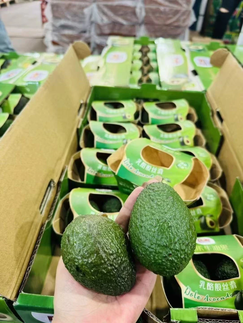 都楽牛油果10盒20个