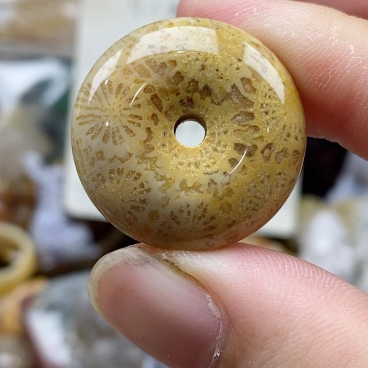 硅化珊瑚（珊瑚玉）未镶嵌颈饰小