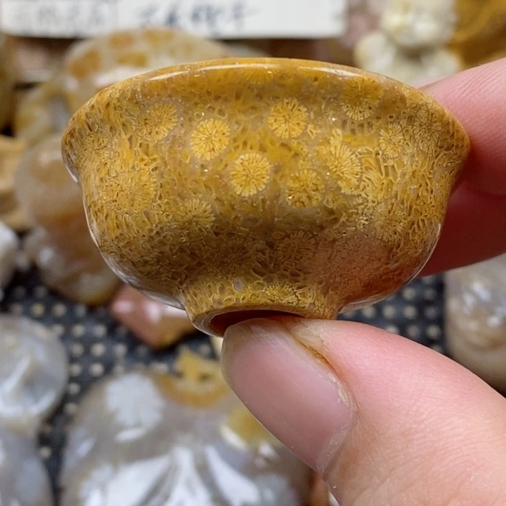 颈饰未镶嵌硅化珊瑚（珊瑚玉）