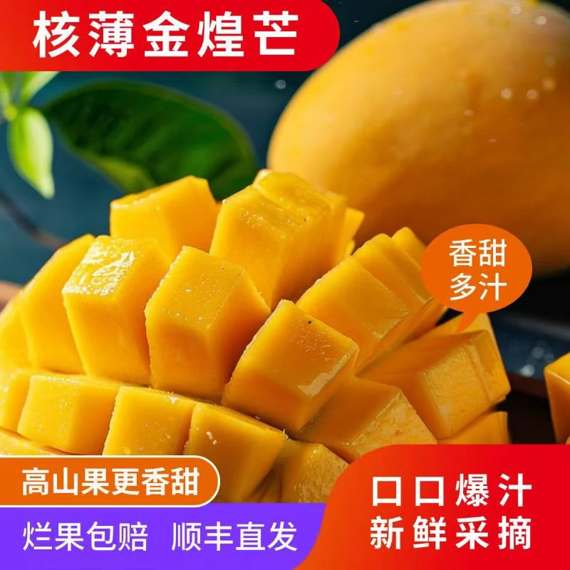 海南直发金煌芒顺丰快递芒果金煌芒果礼盒新鲜纯甜新鲜现摘