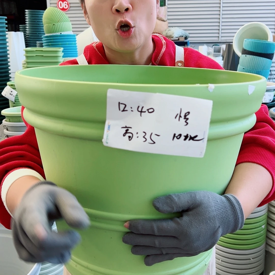 瑕疵仿陶罗马小号果绿色3个无托