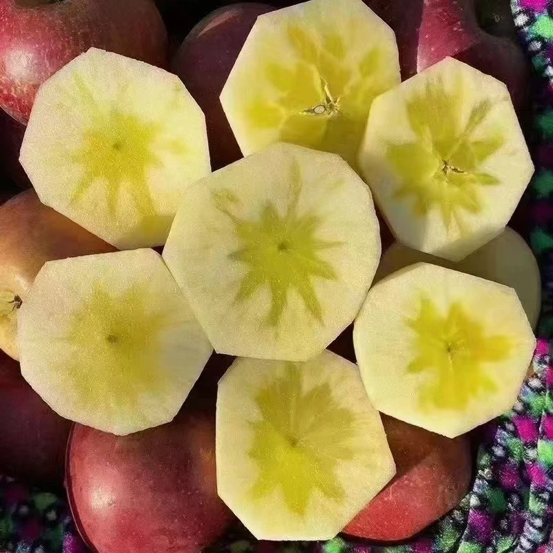 云南昭通应季新鲜水果冰糖心丑苹果产地直发整箱包邮