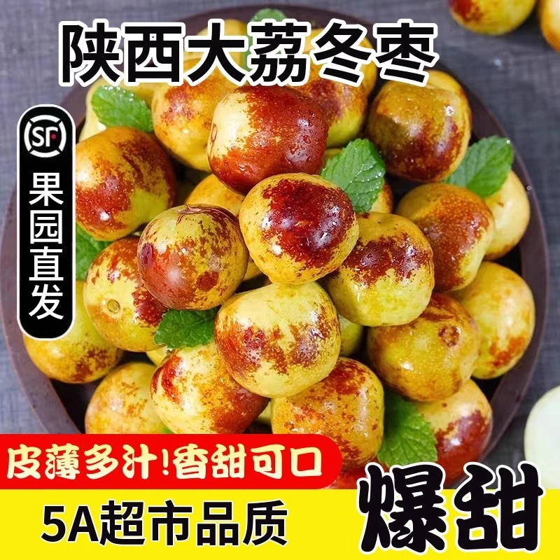 正宗陕西大荔冬枣脆甜精品新鲜大枣现摘婴儿孕妇辅食送礼顺丰直发