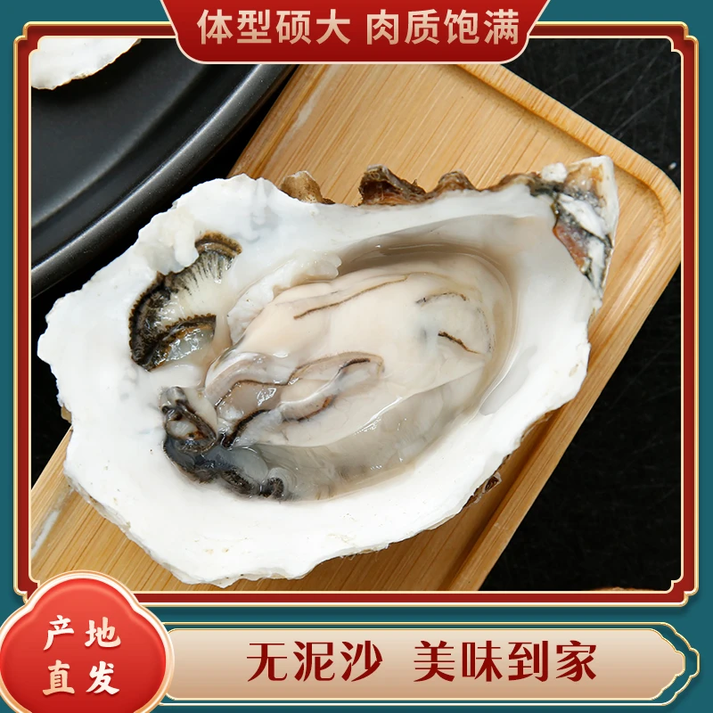 【立减50元】东港生蚝（牡蛎）产地直发新鲜生蚝精品海蛎子海鲜