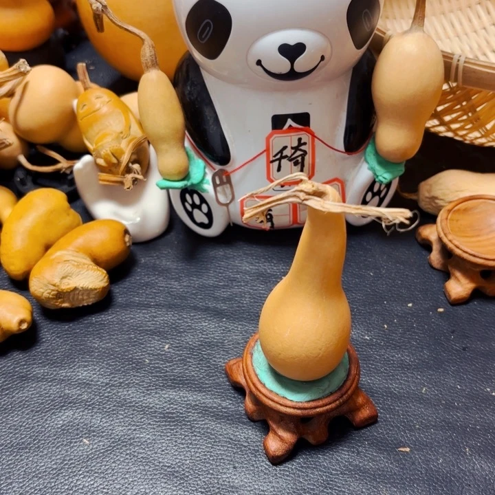 洛****力8888888888888888888