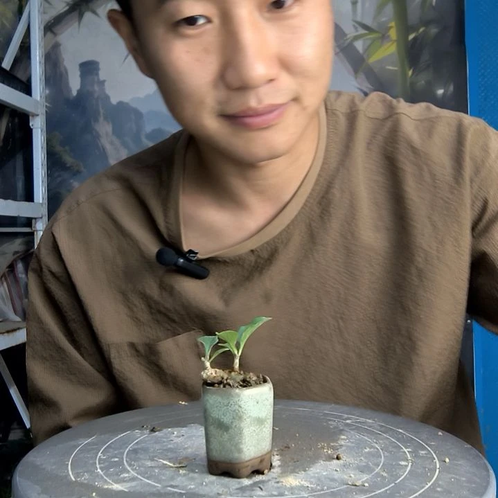 G****.中青园艺一物一拍164