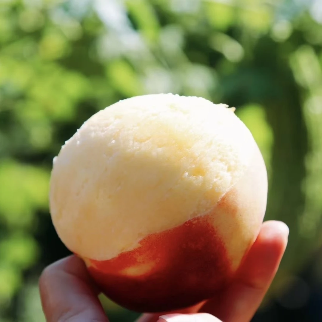 【嘎嘎专属｜省内专拍】正宗秦安北京7号水蜜桃产地直发