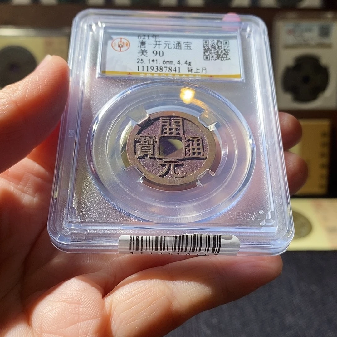 贝壳7 恭喜发财恭喜发财