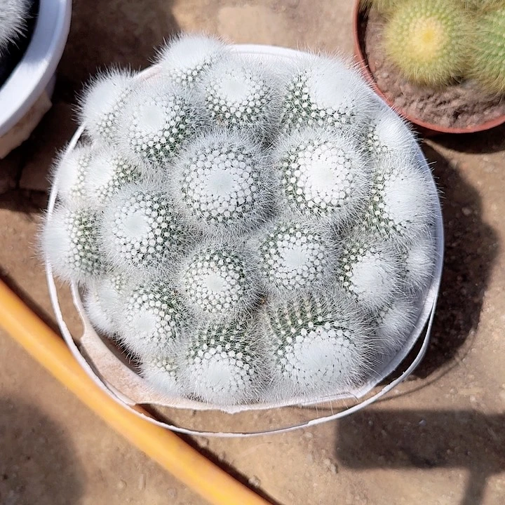 静哈哈哈哈哈哈哈回家