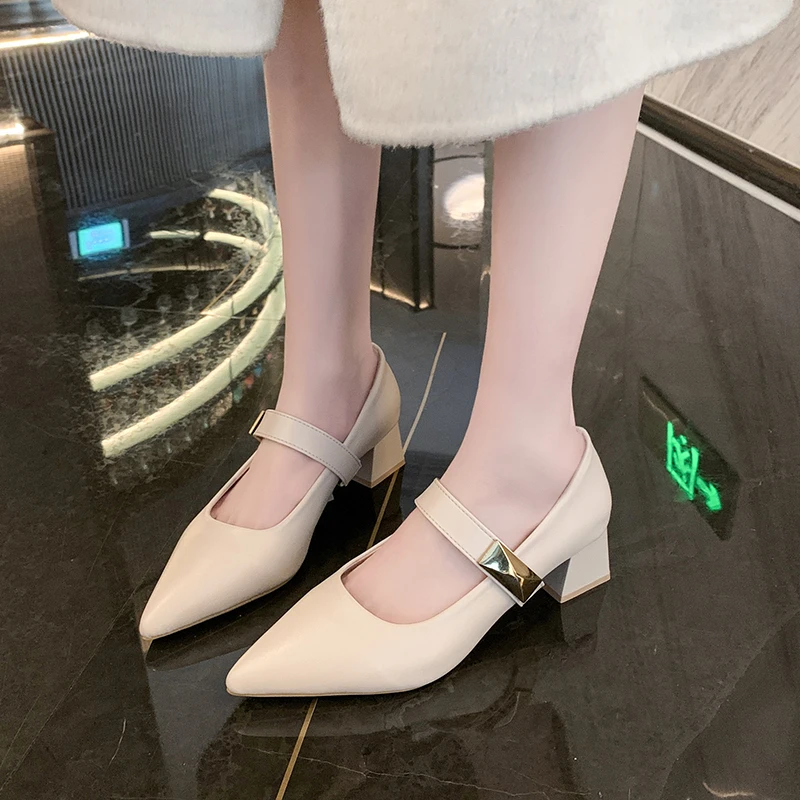 粗跟单鞋女2025年春季新款尖头法式玛丽珍中跟气质时尚百搭工作鞋