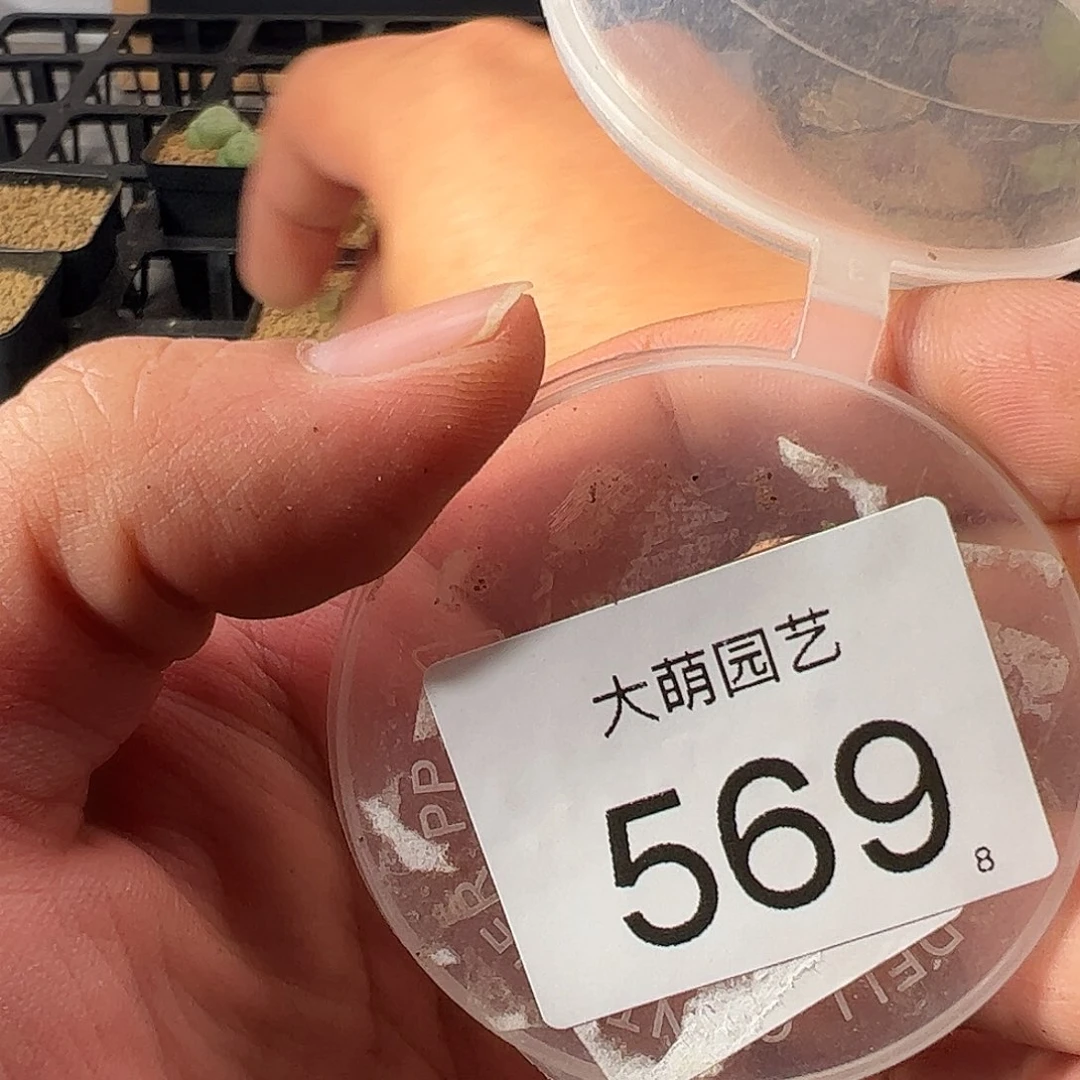 花****鱼0000569 一物一拍……