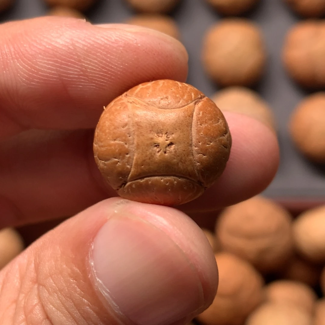 凤眼菩提吊坠17mm尼泊尔麒麟单籽，打孔直播间和我说