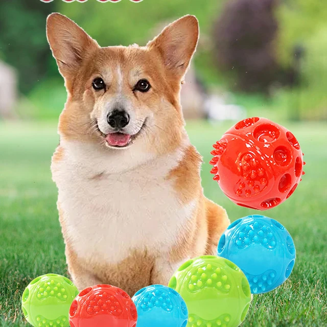 Caitec宠物狗玩具球声音玩具耐咀嚼和磨牙柯基法国斗牛犬为中小型