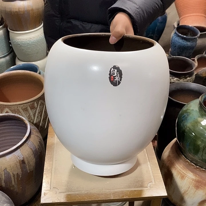 口21高度31白色…………