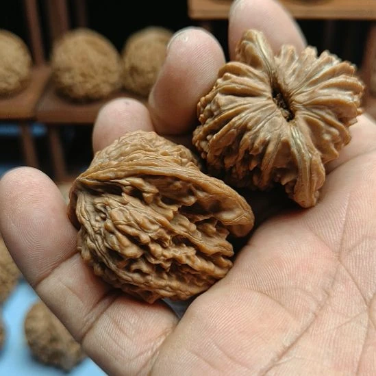 讲***见完全开放四座楼核桃