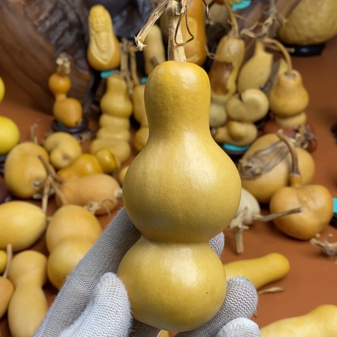 P***a教练咯教练咯教练咯