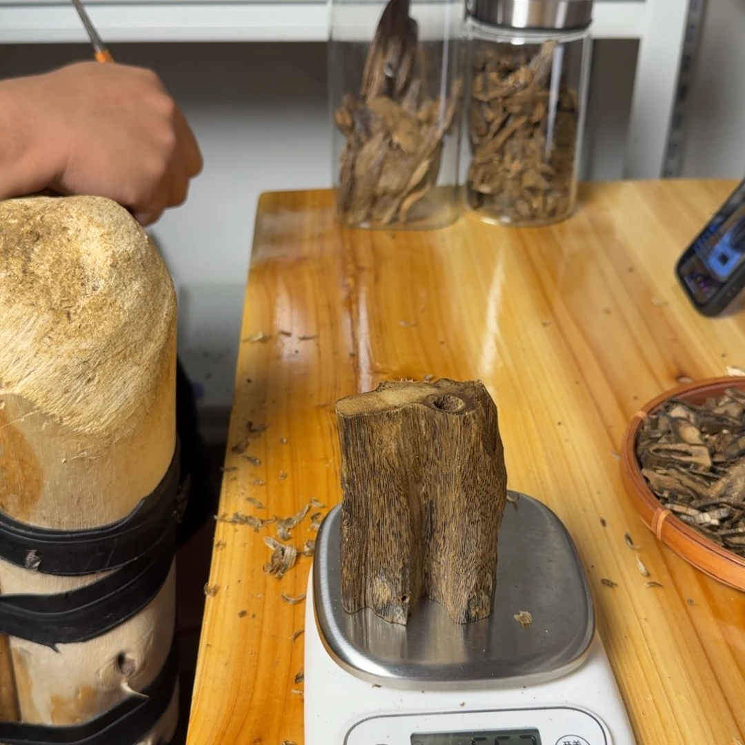 灯***珊沉香白奇虫漏香56克