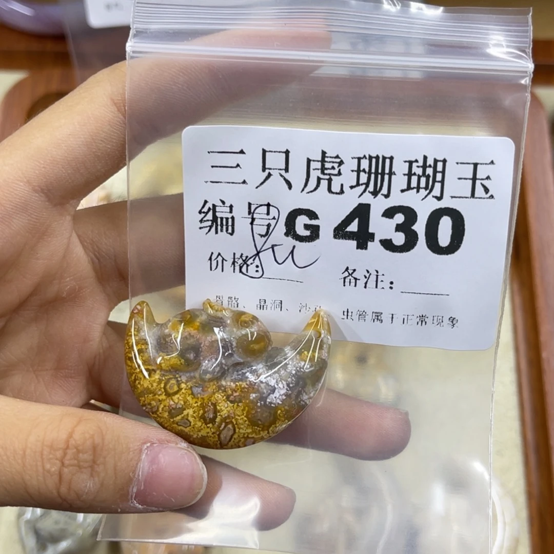 迷***雾硅化珊瑚（珊瑚玉）未镶嵌h