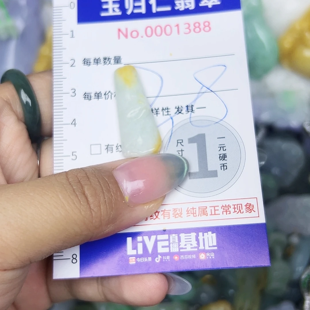 翡翠未镶嵌颈饰11