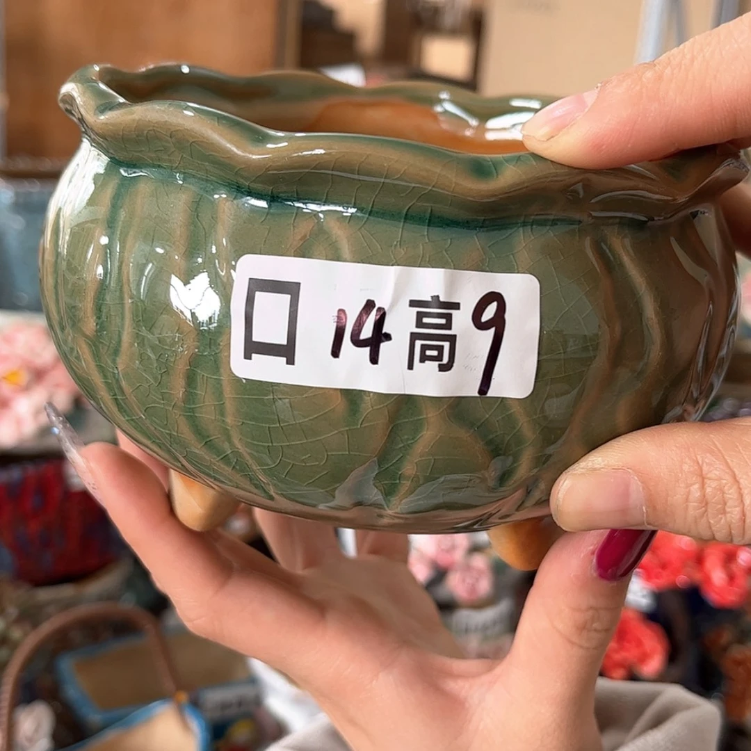 【闪购商品】红陶福利