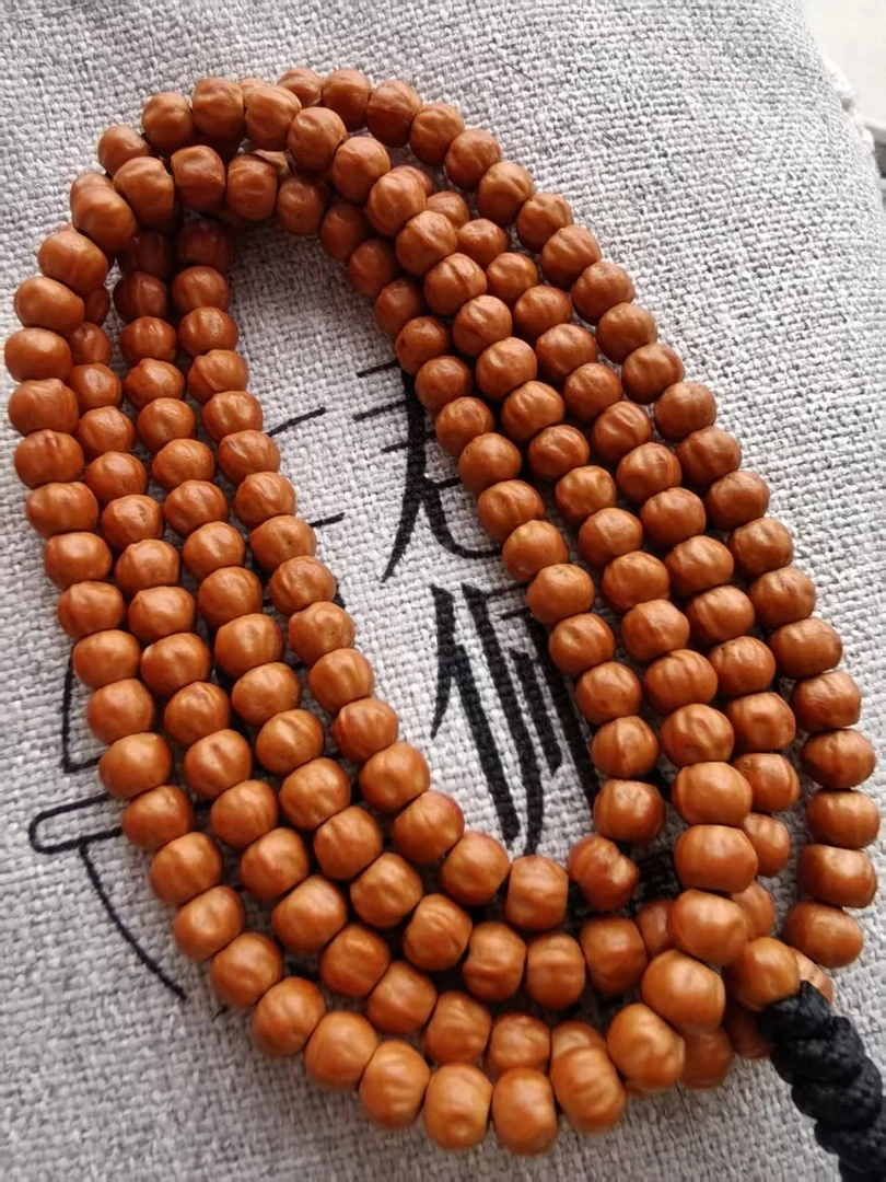 小金豆百香籽，5+，粉油皮，就是板正，上色快