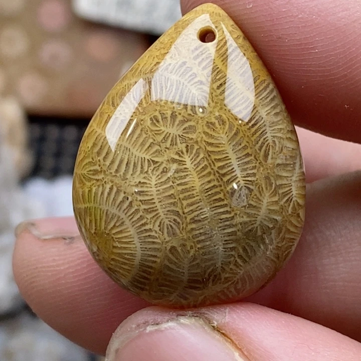 颈饰未镶嵌硅化珊瑚（珊瑚玉）小