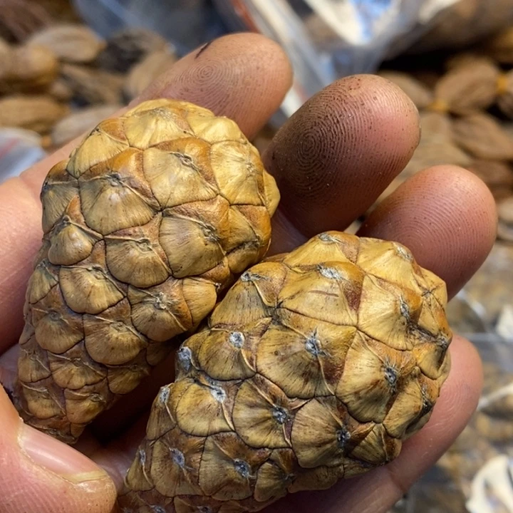 吊坠文玩核桃娜姐81