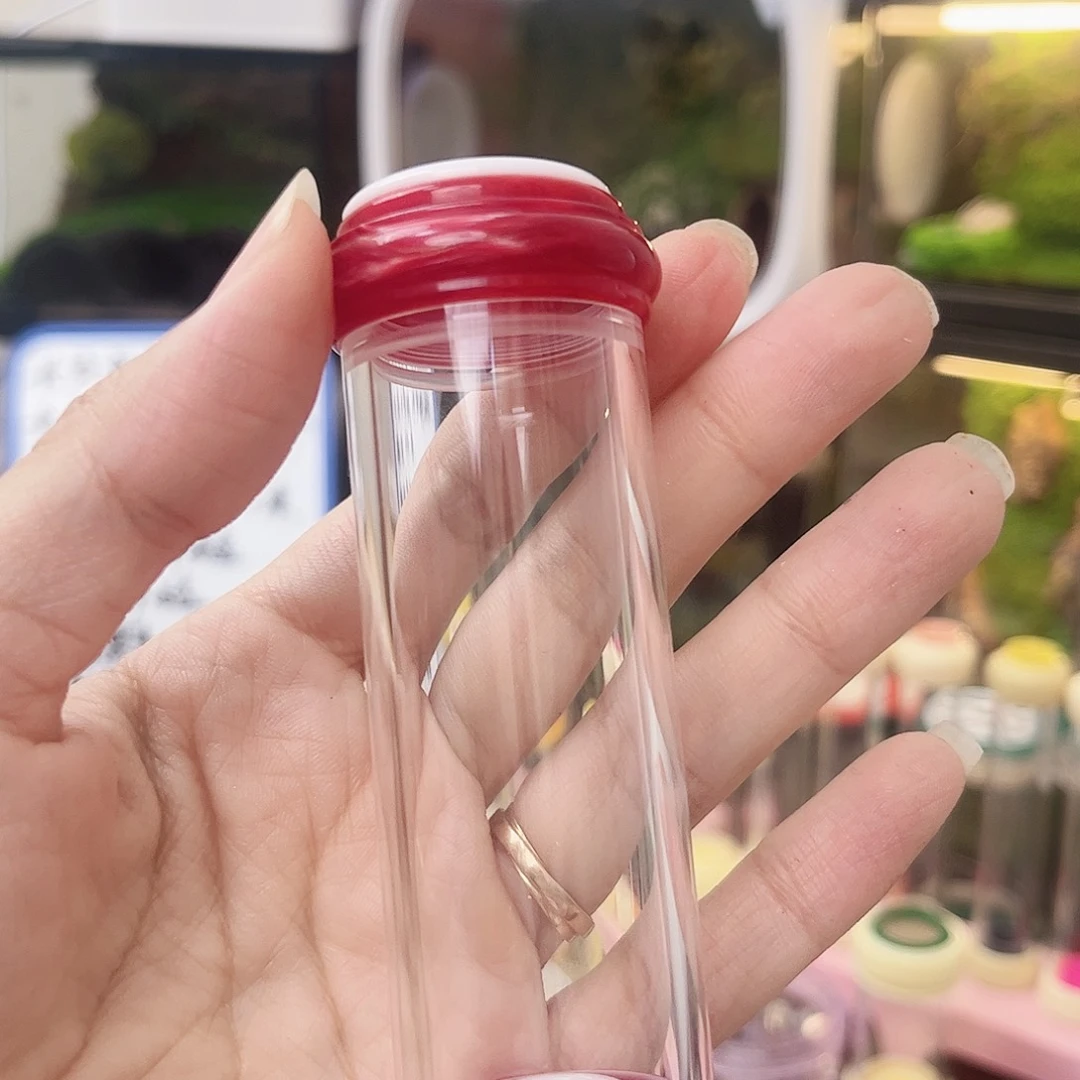 带竹蛉加桶拍拍拍拍拍