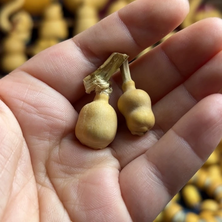 *****木天然葫芦小异形