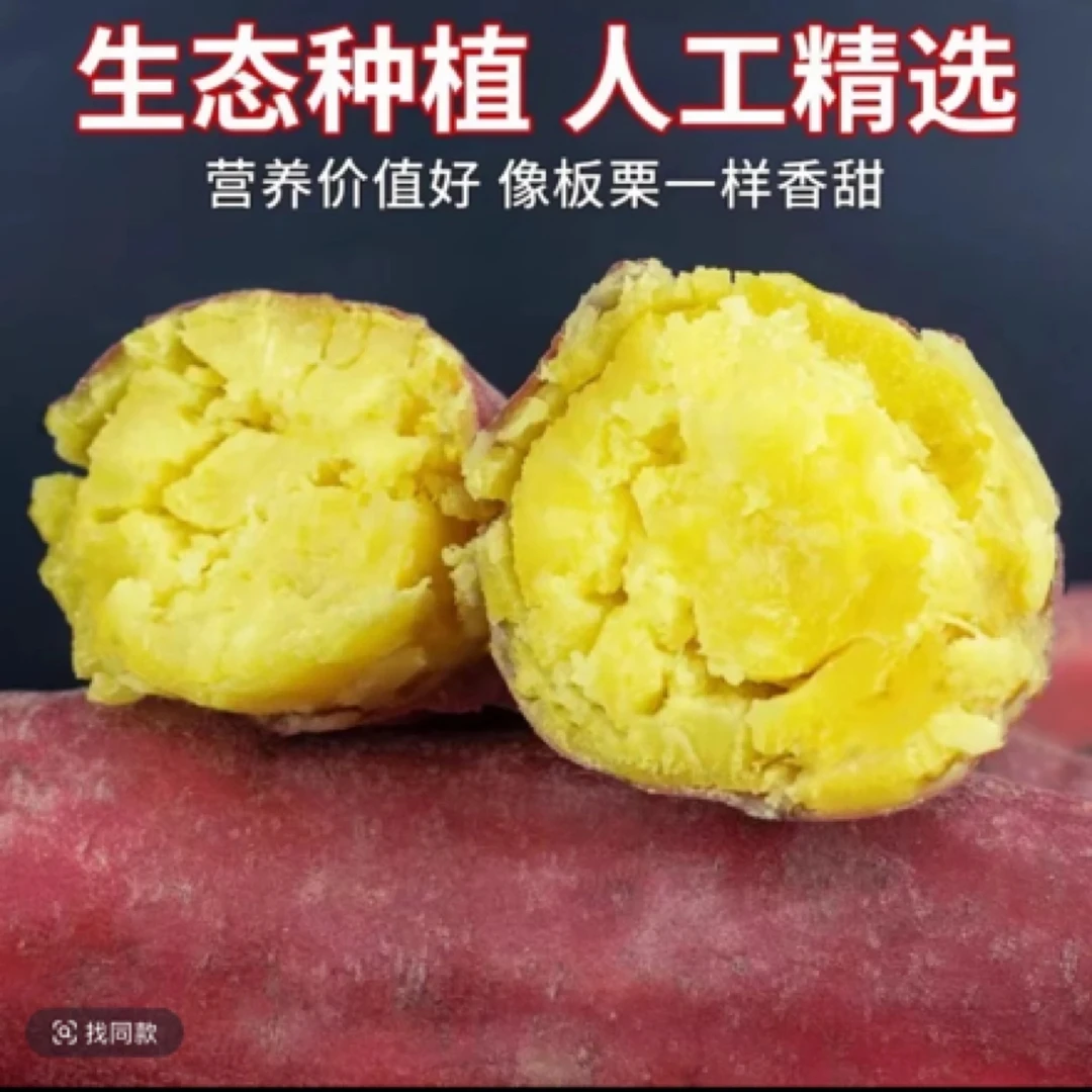 wz正宗陕西沙地现挖现发新鲜板栗红薯软糯香甜皮薄肉厚