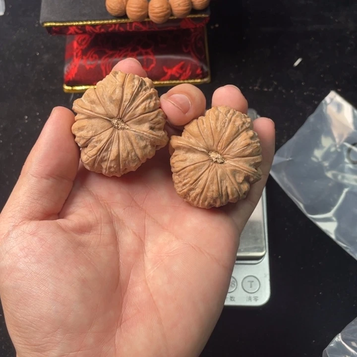 l***k全品45头货南瓜墩