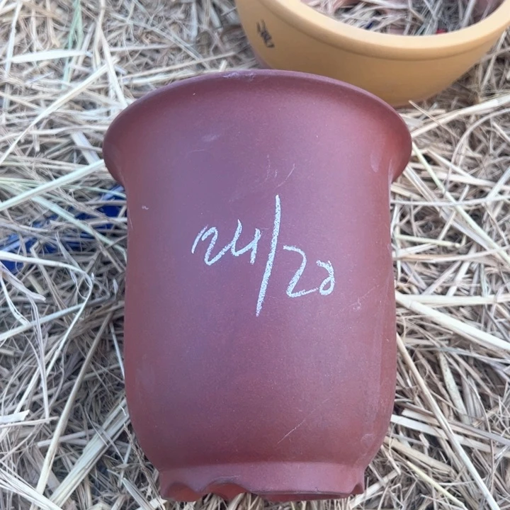 红陶紫砂兰花盆微瑕