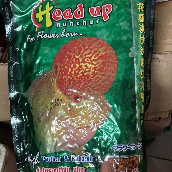罗汉鱼增头泰料88888888888