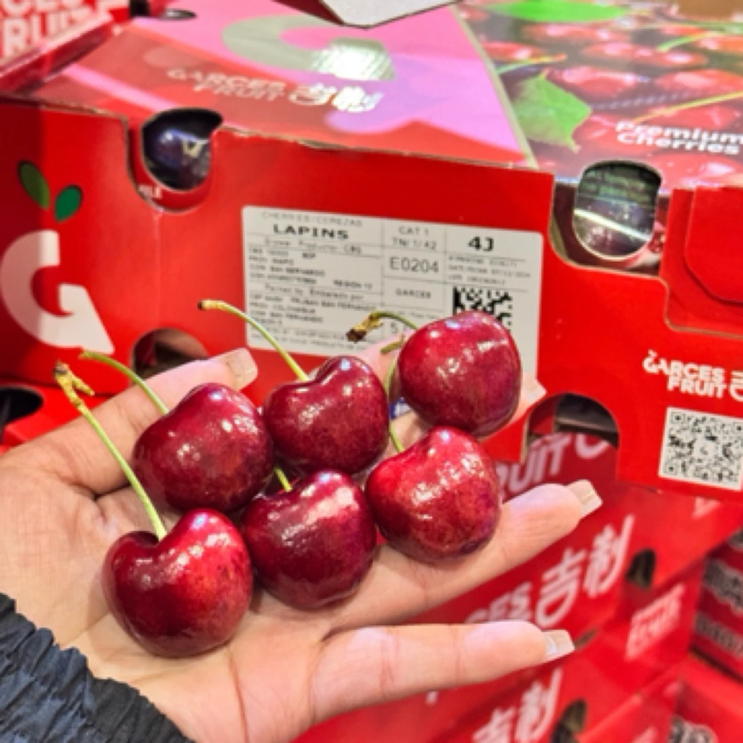 「吉制」4J车厘子 原箱5斤净重