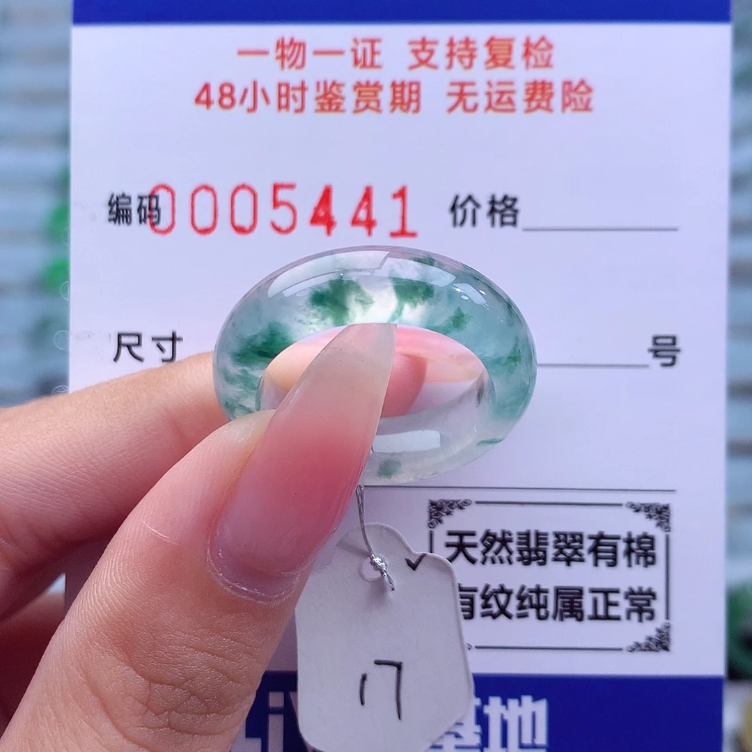 翡翠未镶嵌戒指天然