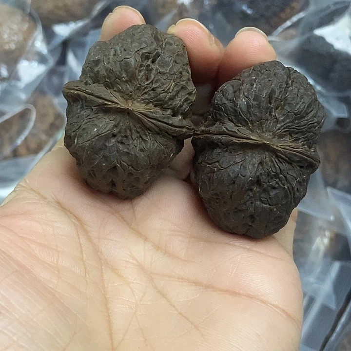 木质类云南铁核桃基地6