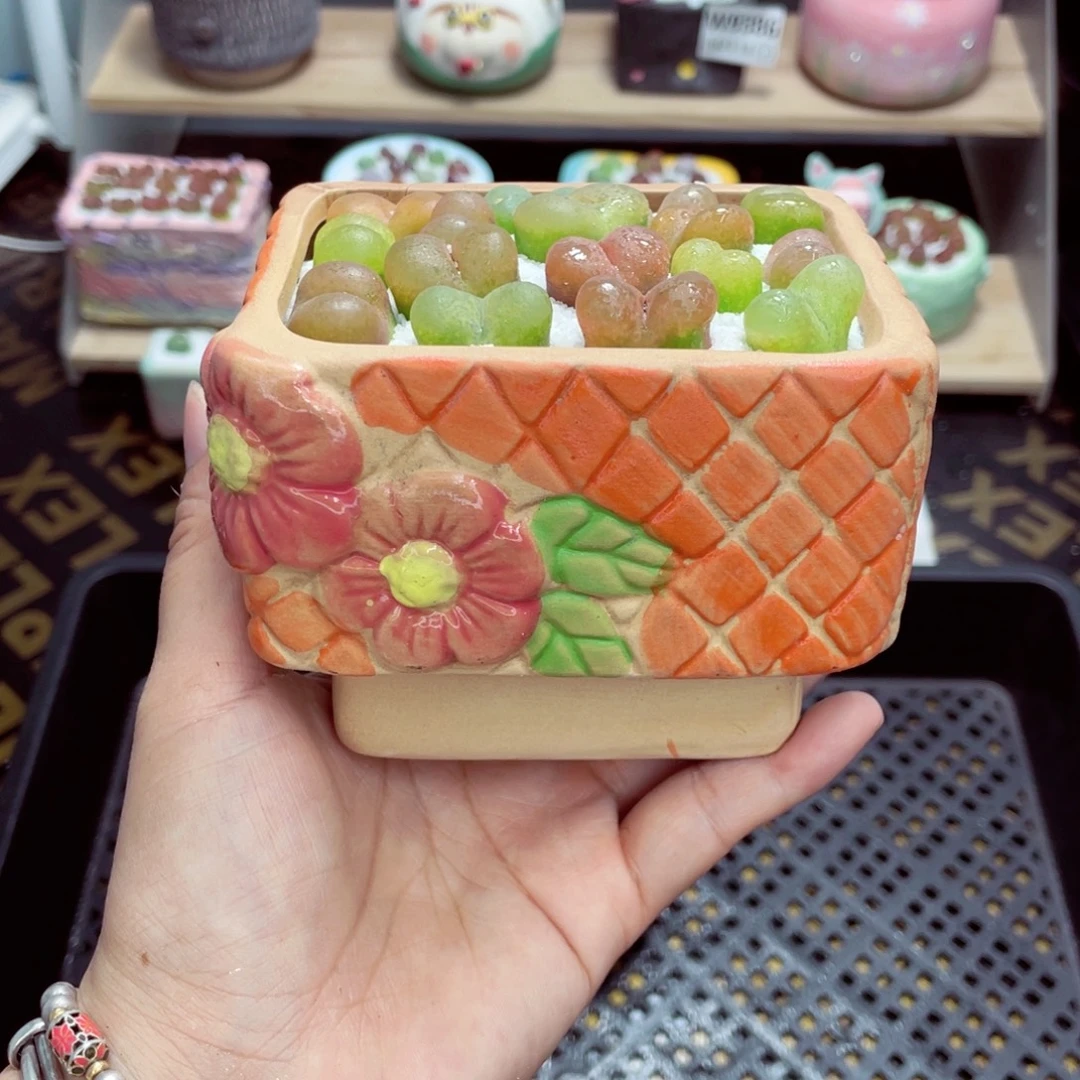 w9387 带盆土发货一物一拍