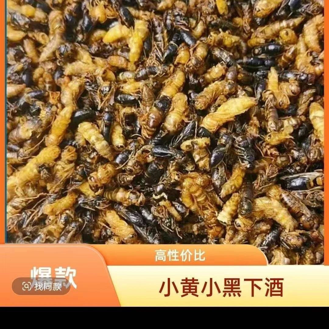 小黄小黑【下酒菜不带内脏】2025新鲜纯菜籽油炸蜂儿子顺丰包邮