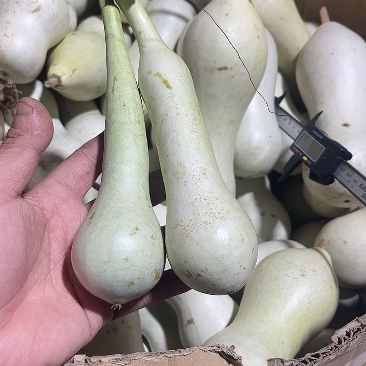 非洲紫檀（红花梨）广****机