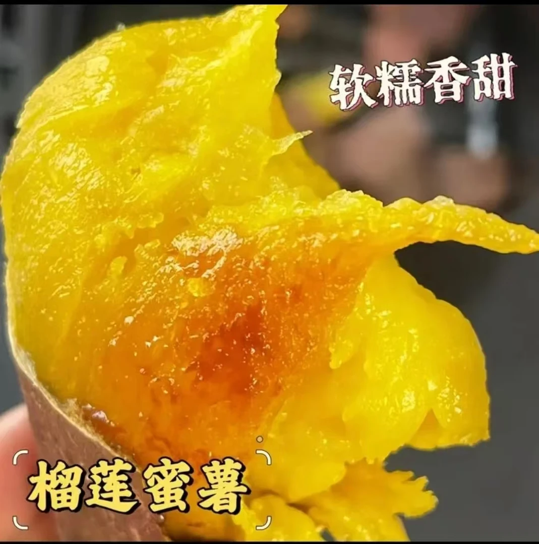 云南高原场馆流心表演视频烤红薯丝滑正宗榴莲味金薯蜜薯豌豆28