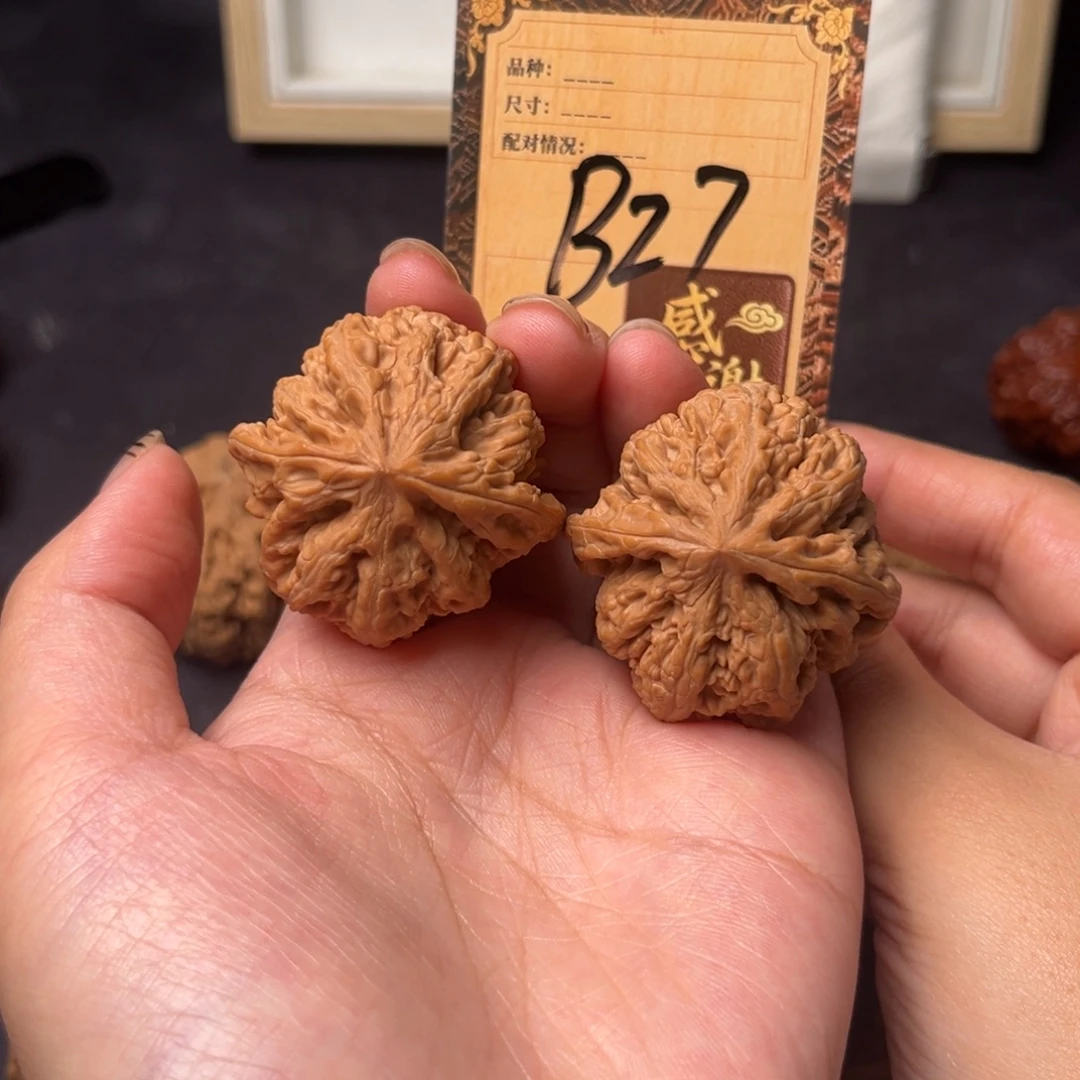 核桃b27粗筋1111111