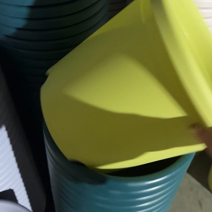 四季5号果绿无托10个特价微瑕