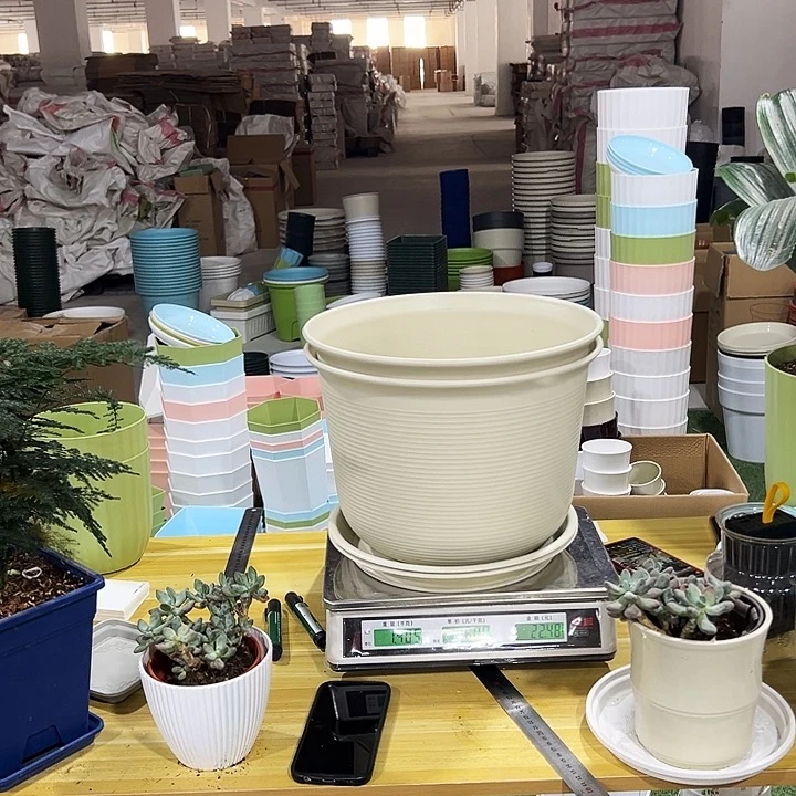 炭烧口34高24米色带托2只