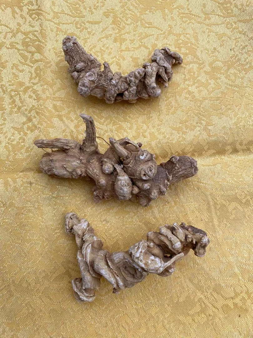 【主播精选】山货 天王参