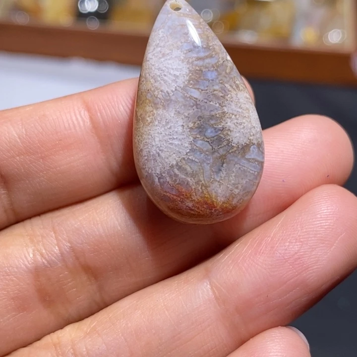 【闪购商品】未镶嵌珊瑚玉硅化玉