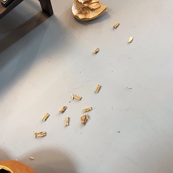 知***止有机玻璃葫芦葫芦葫芦