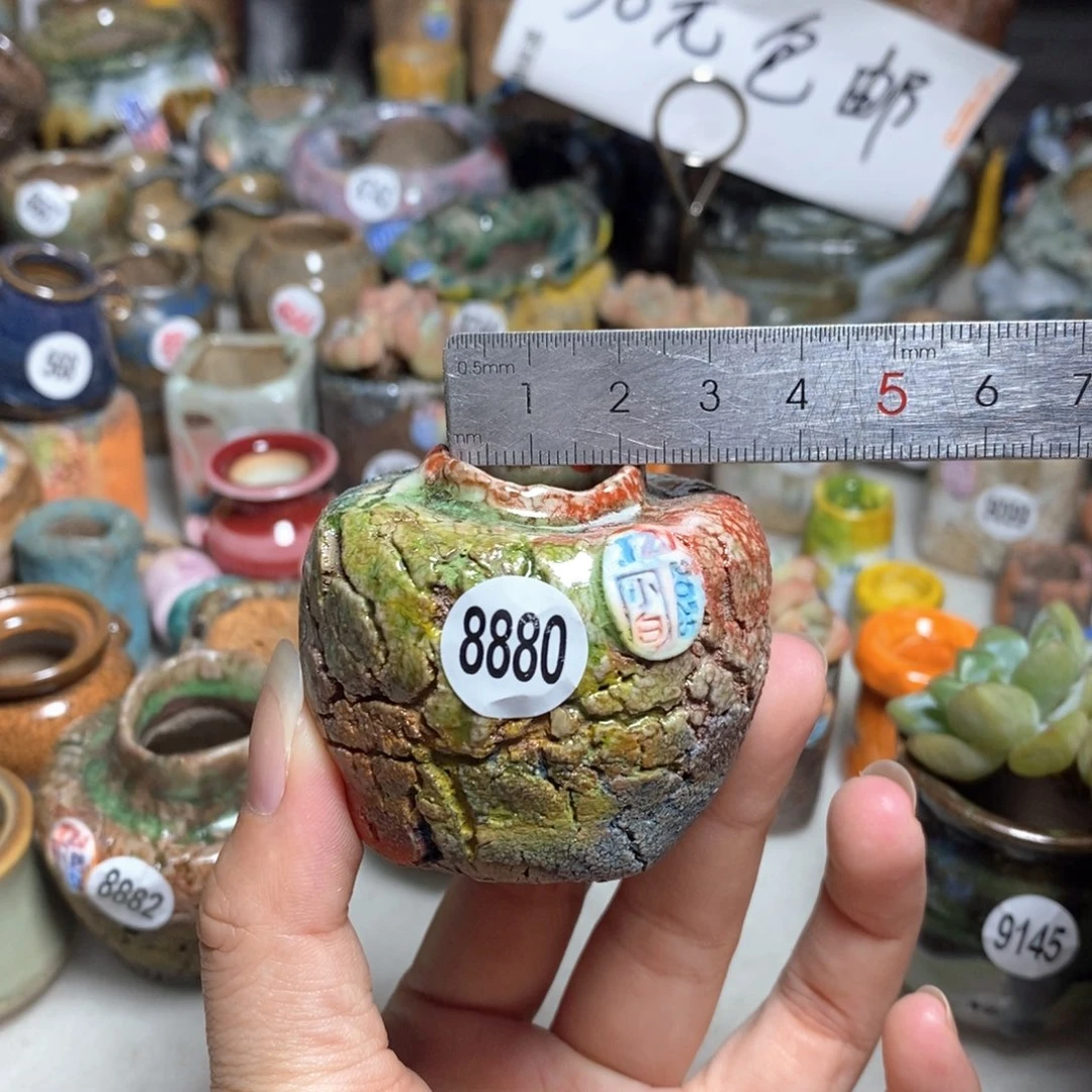 拍2送一个小礼物