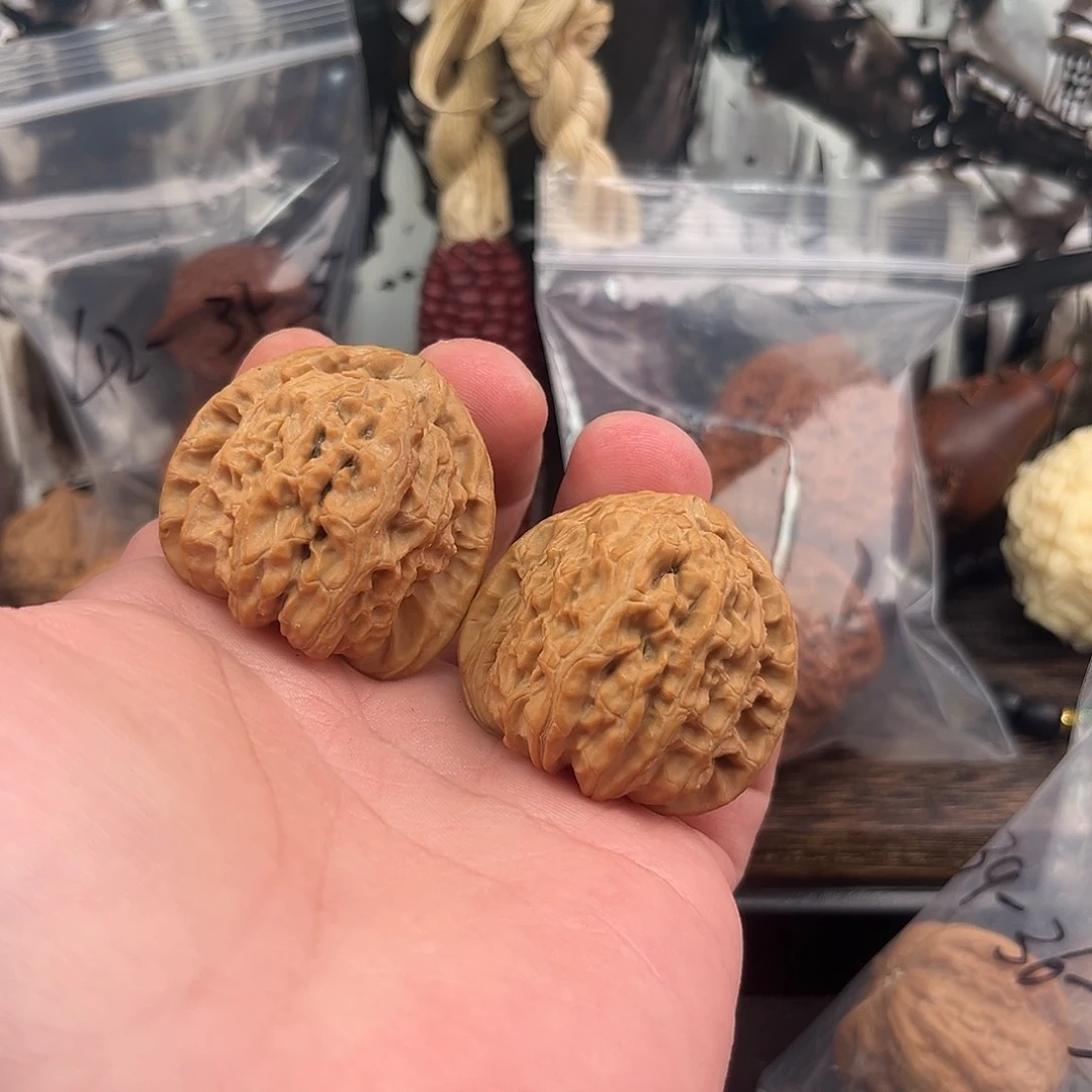 核桃三角白狮子40尺